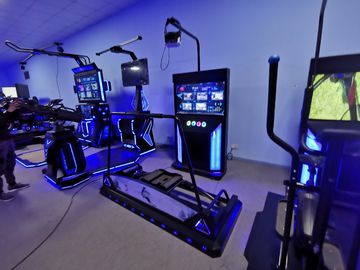 Theme Park VR Arcade Machines Ski Driving Simulator Electric Dynamic Platform